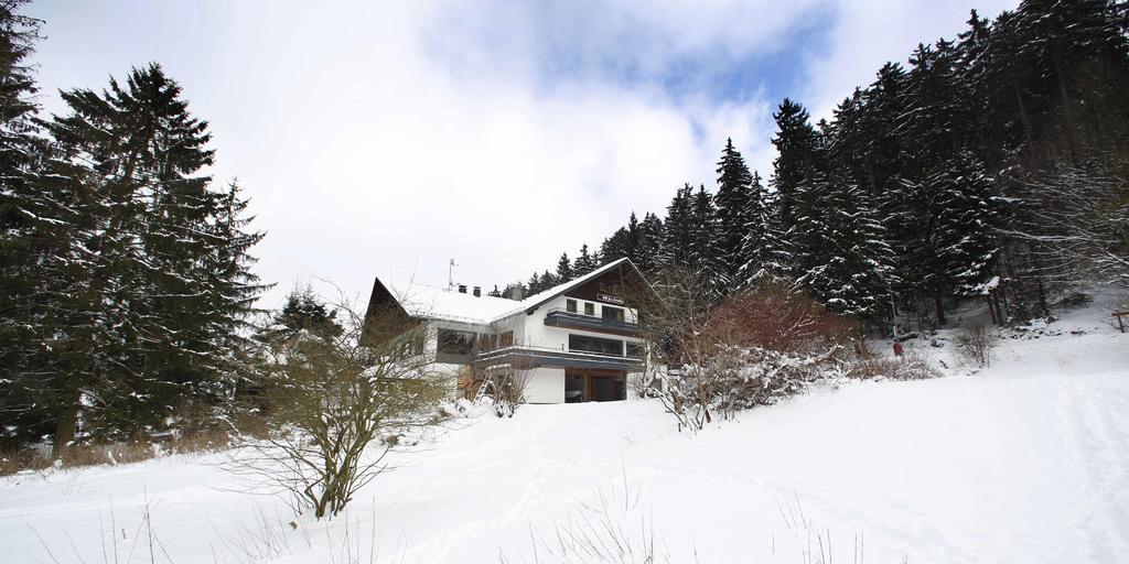 Hotel-Pension Zum Paradies Willingen  Esterno foto