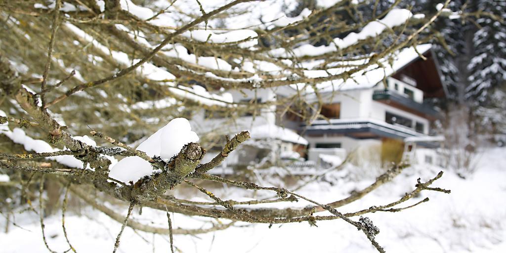 Hotel-Pension Zum Paradies Willingen  Esterno foto