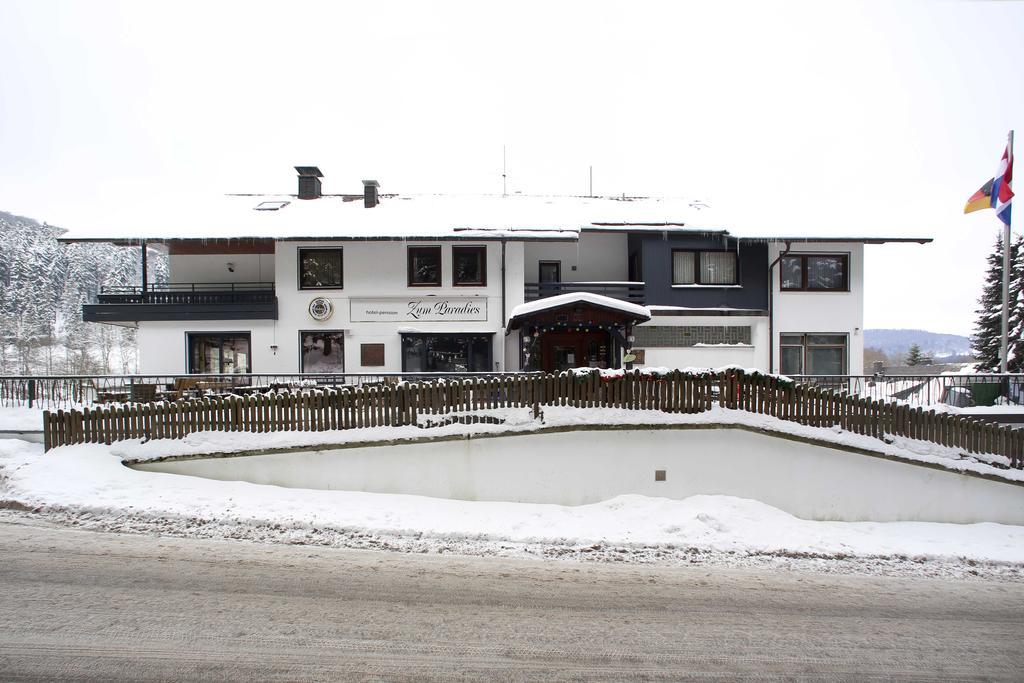 Hotel-Pension Zum Paradies Willingen  Esterno foto