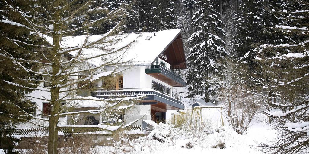 Hotel-Pension Zum Paradies Willingen  Esterno foto