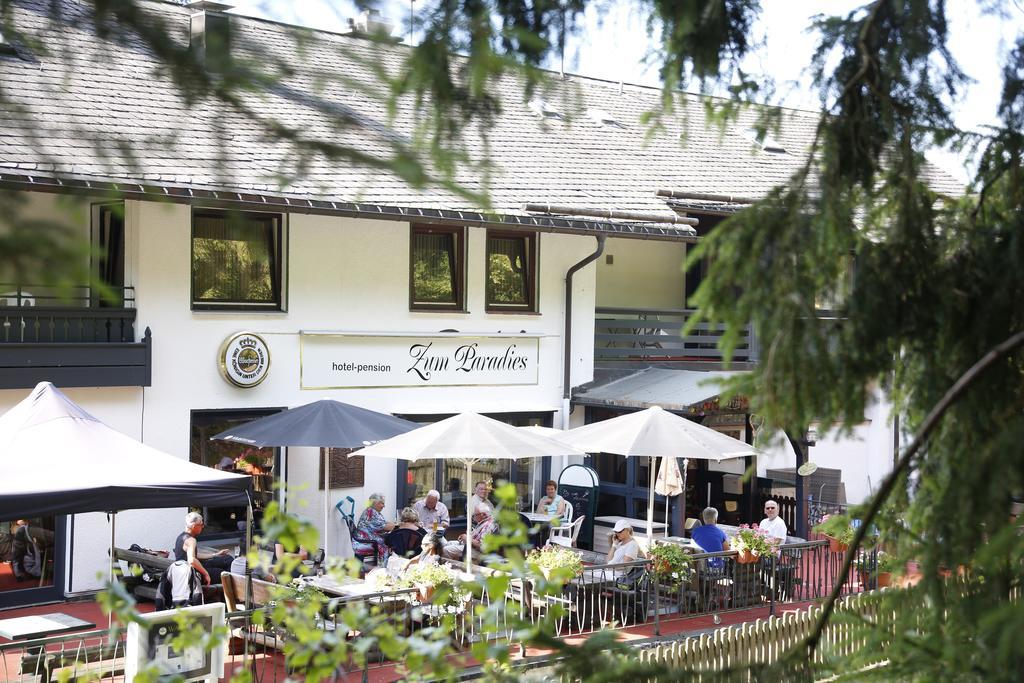 Hotel-Pension Zum Paradies Willingen  Esterno foto