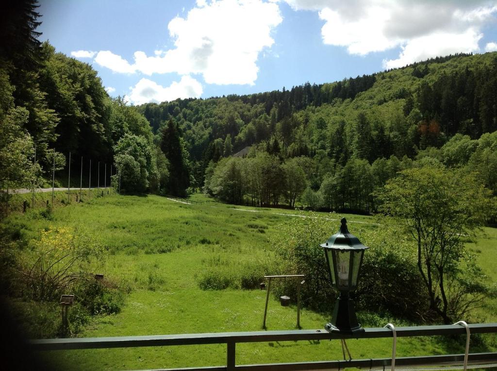 Hotel-Pension Zum Paradies Willingen  Esterno foto