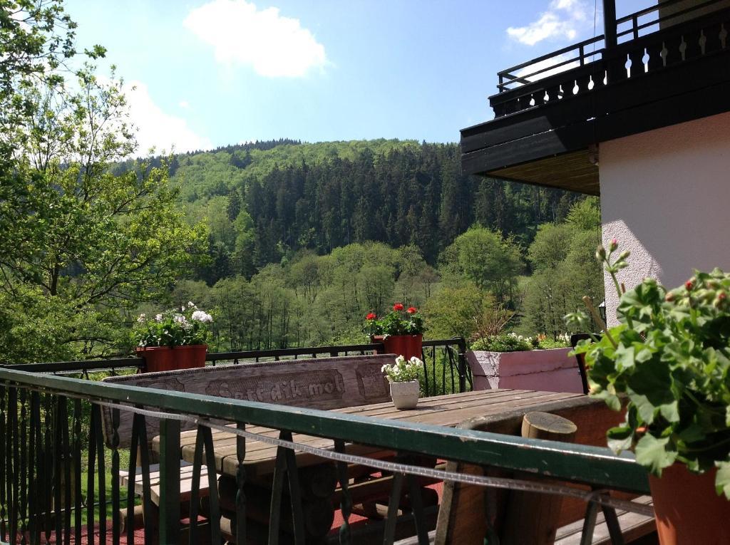 Hotel-Pension Zum Paradies Willingen  Esterno foto