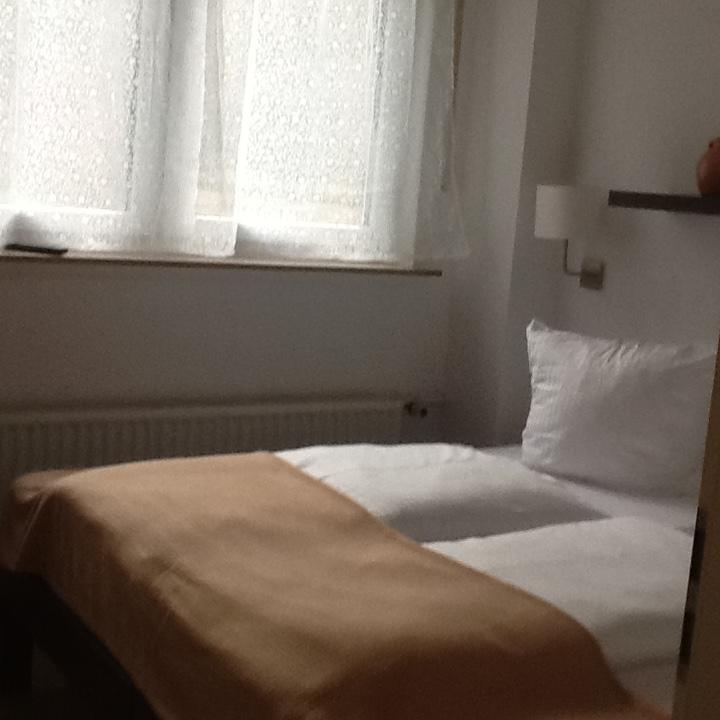 Hotel-Pension Zum Paradies Willingen  Esterno foto