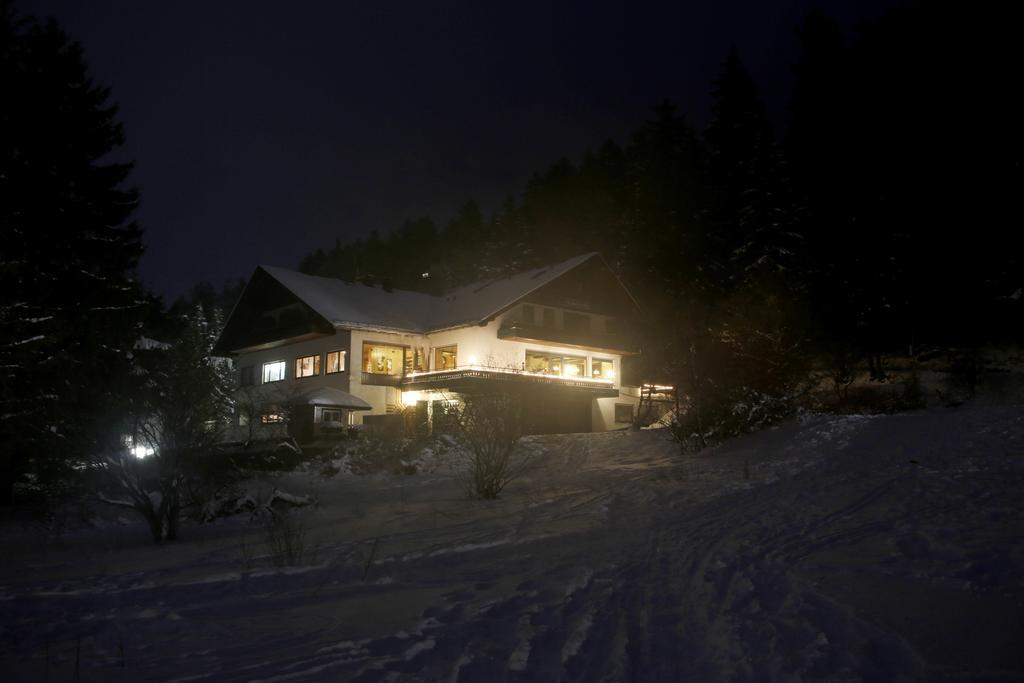 Hotel-Pension Zum Paradies Willingen  Esterno foto
